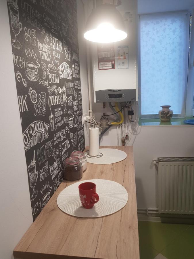 Apartament Simona Apartment Brașov Exterior foto